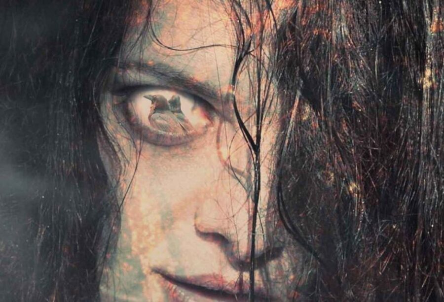 New Orleans: Adults Only Haunted Ghost Tour - Witches Brew Gallery & Haunted Sanctuary: The Papa Legba Moment