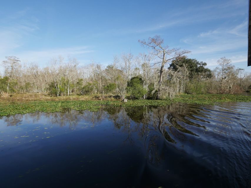 New Orleans: Airboat or Pontoon Boat Cruise with Transfers - Why This Swamp Cruise Works So Well From Downtown New Orleans