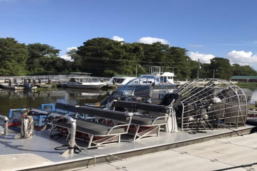 New Orleans: Airboat or Pontoon Boat Cruise with Transfers - Pontoon vs Airboat: Pick Comfort or Adrenaline