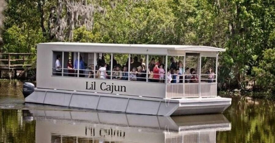 New Orleans: Airboat or Pontoon Boat Cruise with Transfers - Bayou Segnette Alligator Viewing (What You’re Really Getting)