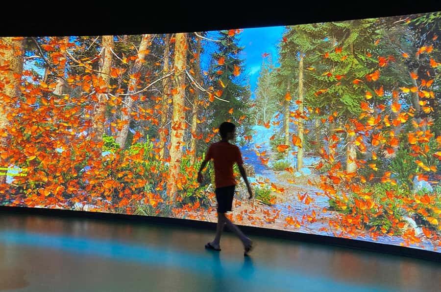 New Orleans: Audubon Aquarium & Insectarium Ticket - Key Things To Know Before You Go