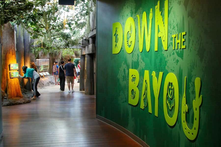 New Orleans: Audubon Aquarium & Insectarium Ticket - Penguin Exhibit and Rare White Alligators: The Keeps-Coming-Back Highlights