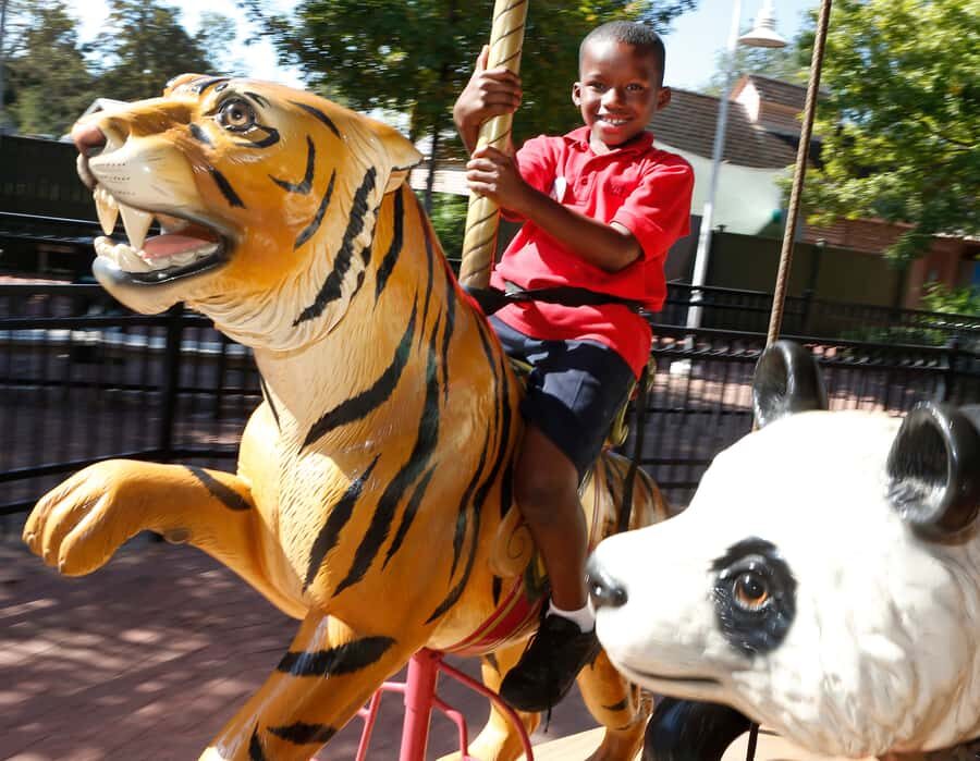 New Orleans: Audubon Zoo Ticket and Combination Option - Who This Audubon Zoo Combo Makes the Most Sense For