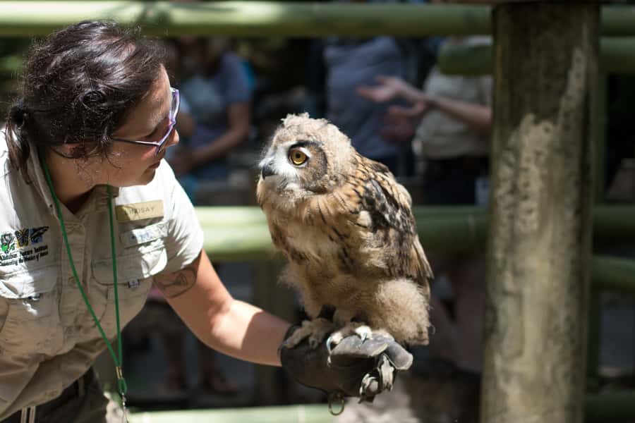 New Orleans: Audubon Zoo Ticket and Combination Option - Watoto Farm and domestic animals: a calmer change of pace