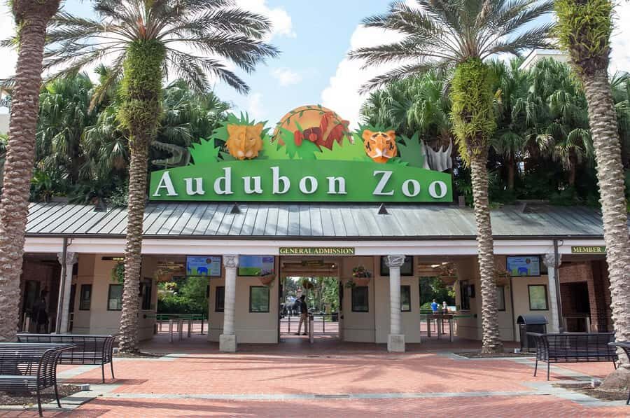 New Orleans: Audubon Zoo Ticket and Combination Option - Entering the Zoo: How the Day Starts Without the Headaches