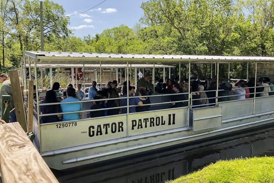 New Orleans: Bayou Swamp Tour and Oak Alley Plantation Tour - Oak Alley Plantation at 3:00: The Live Oaks and the Human Story
