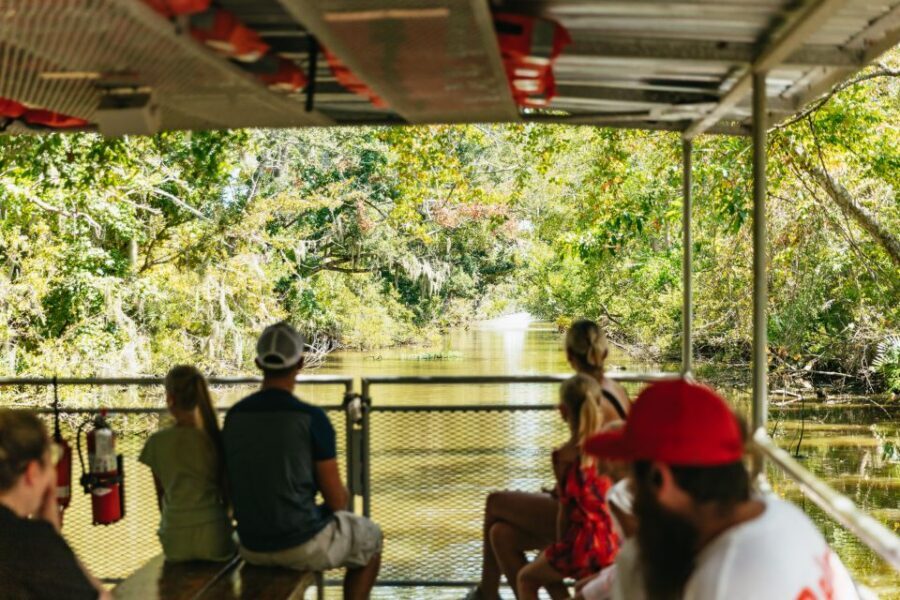 New Orleans: Bayou Tour in Jean Lafitte National Park - What Each Part of the Tour Feels Like in Real Time