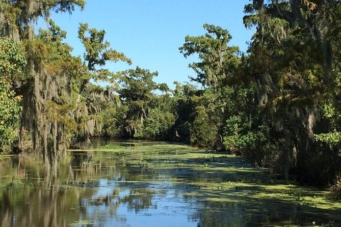 New Orleans City, Cemetery and Swamp Full-Day Tour - What to pack for an easy, comfortable day