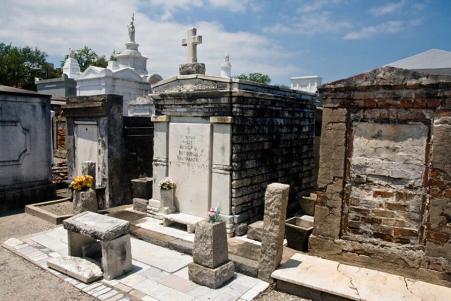 New Orleans: City & Cemetery Tour by Air-Conditioned Minibus - Transportation Quality: Air-Conditioned Comfort and Driver Skills