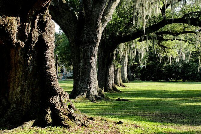 New Orleans: City Park Exploration Game and Tour - Timing That Actually Fits a Busy Day (~1 Hour 10 Minutes)