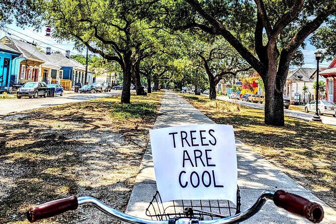 New Orleans Creole History and Culture Ride - Marie’s Bar and Kitchen: a local finish that feels like a breather