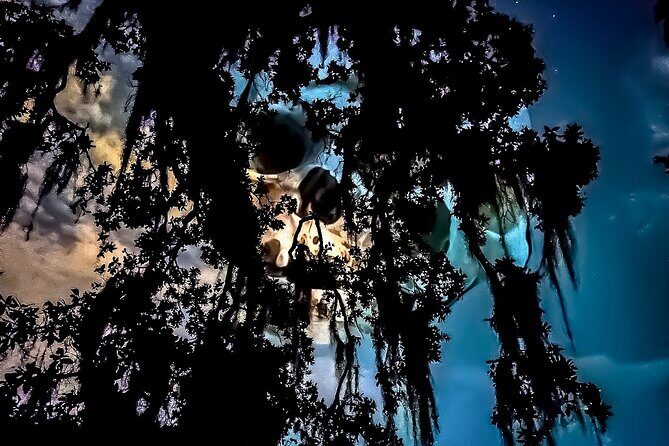 New Orleans Dead of Night Ghosts and Cemetery Bus Tour - Dead of Night starts at Rampart Treehouse, not the usual tourist drag