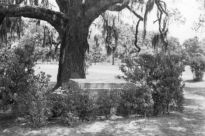 New Orleans Dead of Night Ghosts and Cemetery Bus Tour - Katrina memorial stop: a somber pause inside the spookiness