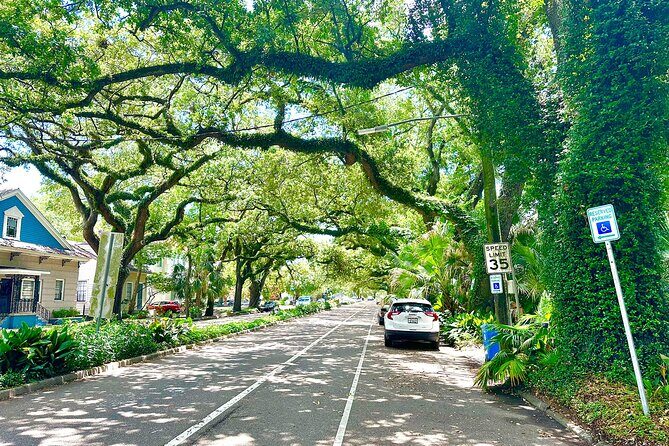 New Orleans Driving Tour with Bayou St. John, City Park, Treme - Bayou St. John: How the Bayou Shaped the City