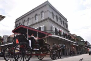 New Orleans French Quarter and More Carriage Ride - The covered mule carriage: comfort wins, with one smart seating tip