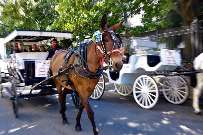 New Orleans French Quarter and More Carriage Ride - The legends and big events that shape the Quarter