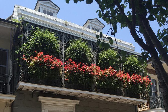 New Orleans French Quarter Architecture Walking Tour - Price and Value: Is $40 for a French Quarter Architecture Walk Fair?