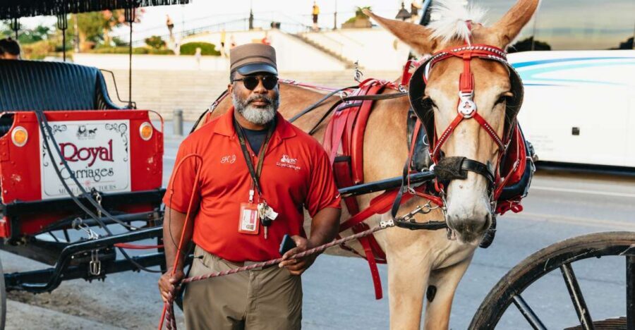New Orleans: French Quarter Sightseeing Carriage Ride - A balanced look: potential drawbacks to keep in mind