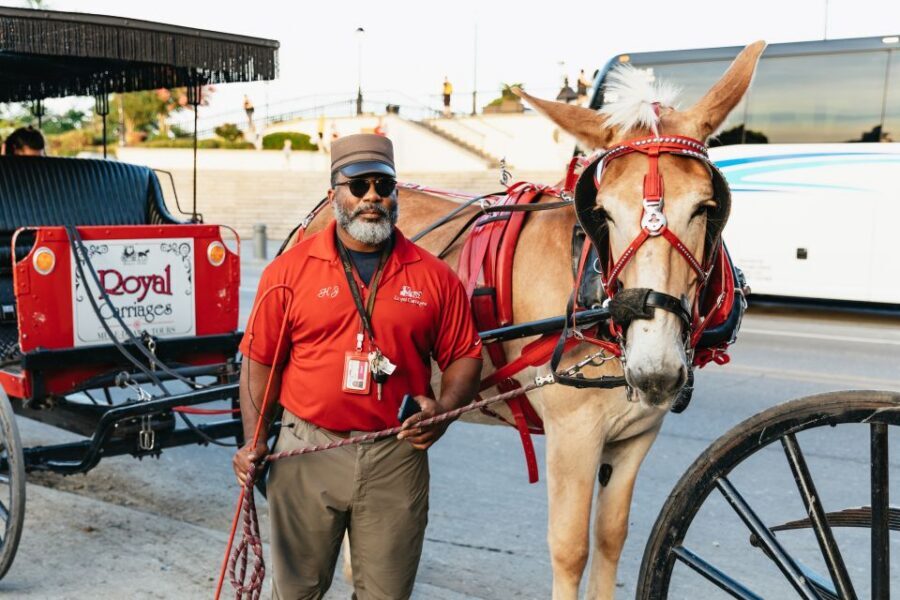 New Orleans: French Quarter Sightseeing Carriage Ride - Faubourg Marigny: where the narration turns local