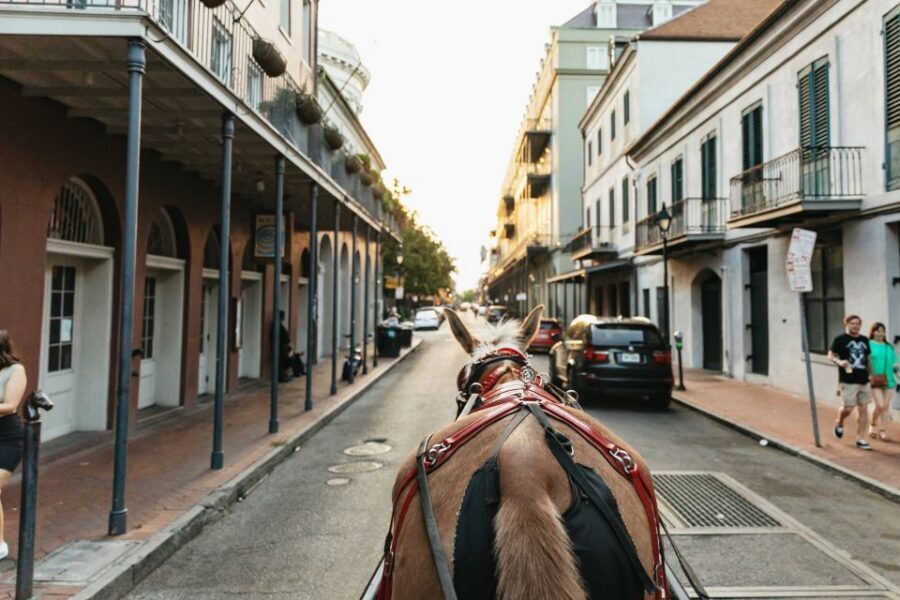 New Orleans: French Quarter Sightseeing Carriage Ride - The 1-hour timing: how to fit it without wasting your day