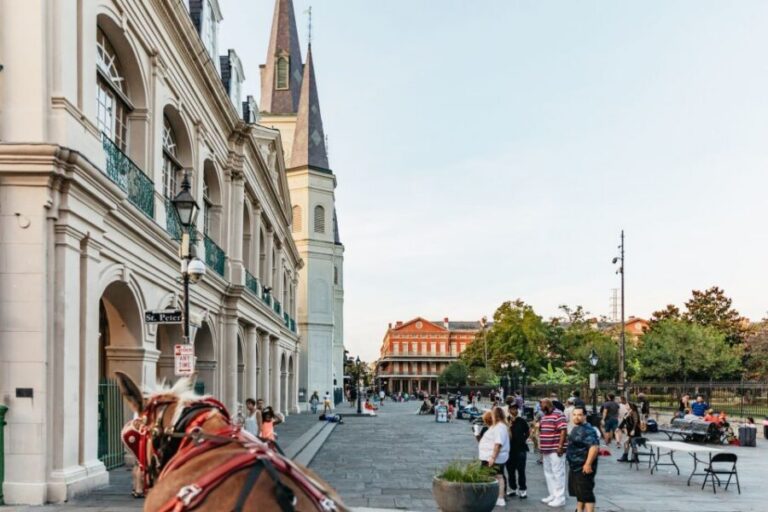 New Orleans: French Quarter Sightseeing Carriage Ride - Meeting at Jackson Square: get there early, bring small-bag logic