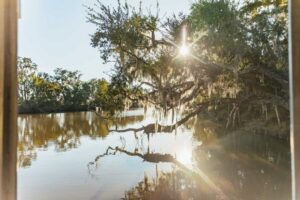 New Orleans: Guided Swamp Cruise by Tour Boat - Getting There: The 35–40 Minute Drive to 9706 Barataria Blvd