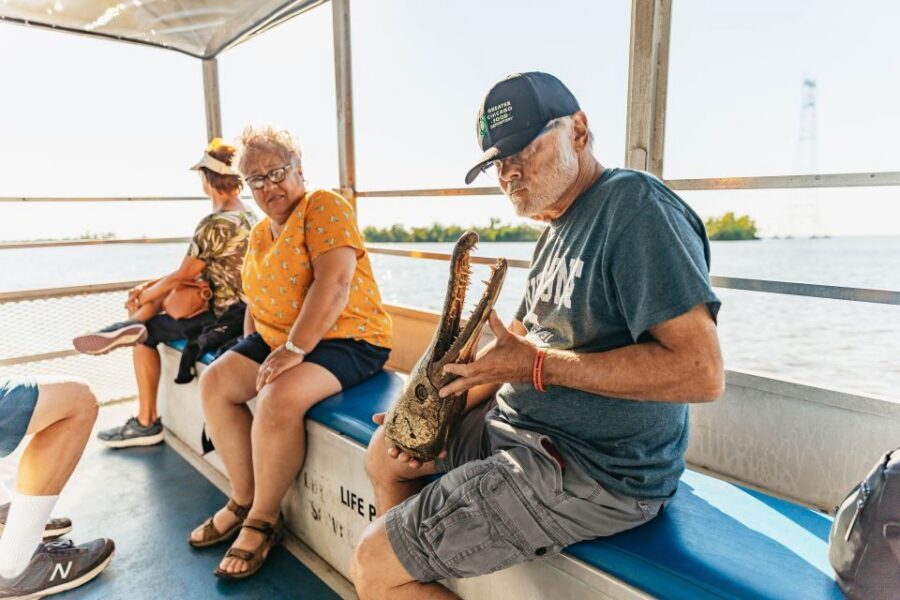 New Orleans: Guided Swamp Cruise by Tour Boat - The 100-Minute Boat Cruise: How the Wetlands Look Up Close