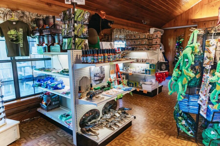 New Orleans: Guided Swamp Cruise by Tour Boat - Wildlife Spotting: What You Can Realistically Look For