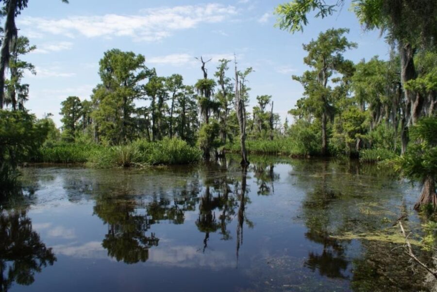 New Orleans: High Speed 16 Passenger Airboat Ride - Getting From New Orleans to Jean Lafitte National Historical Park: The Real Timing