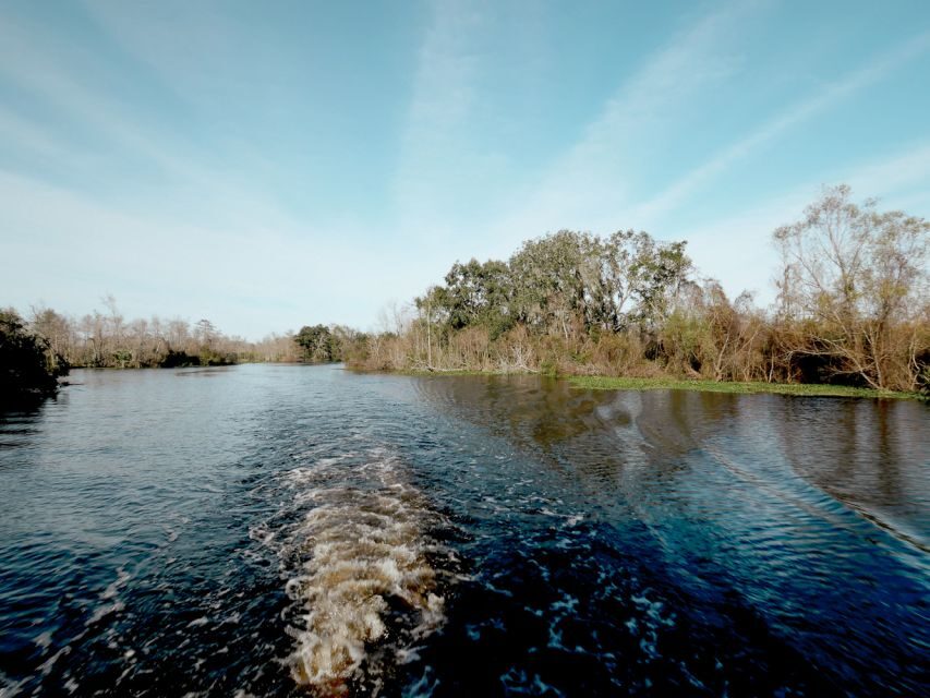 New Orleans: High Speed 16 Passenger Airboat Ride - Rain, Wet Seats, and Swamp-Real Weather: What to Bring