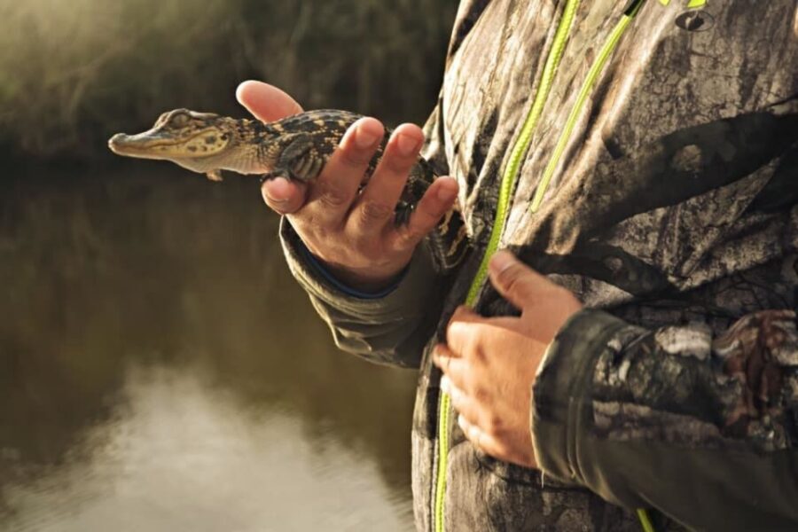 New Orleans: High Speed 16 Passenger Airboat Ride - Price and Value: Is $65 Worth a Bayou Day?