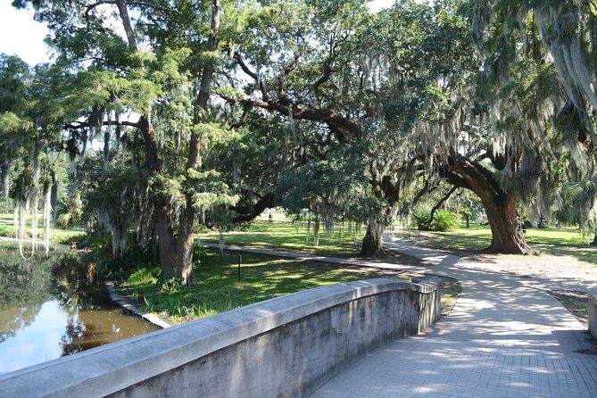 New Orleans History and Sightseeing Small-Group Bike Tour - City Park’s ancient live oaks: shade that feels like time travel