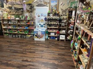New Orleans Manchac Bayou Swamp Cruise W/ Optional Pick-Up - Price and value: why $35 can feel like a bargain