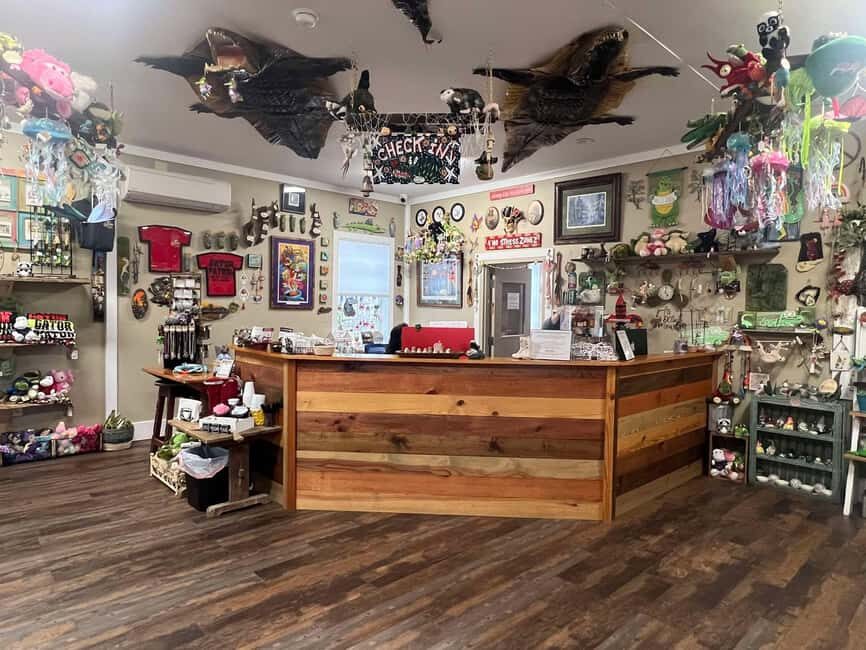 New Orleans Manchac Bayou Swamp Cruise W/ Optional Pick-Up - Who should book this cruise (and who might not love it)
