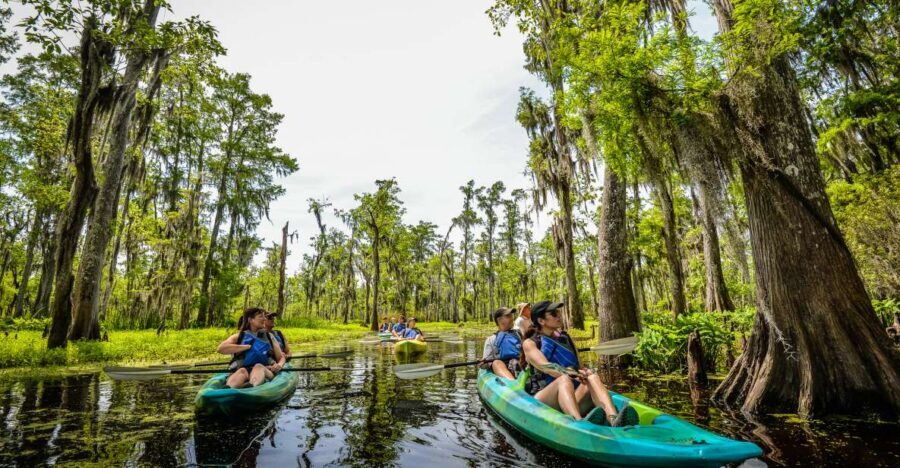 New Orleans: Manchac Magic Kayak Swamp Tour - Getting to the Bayou: 732 N Rampart Pickup and Timing That Can Shift