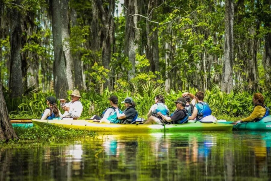 New Orleans: Manchac Magic Kayak Swamp Tour - Guides Like Al, Gerald, and Josh: What Makes the Tour Feel Effortless