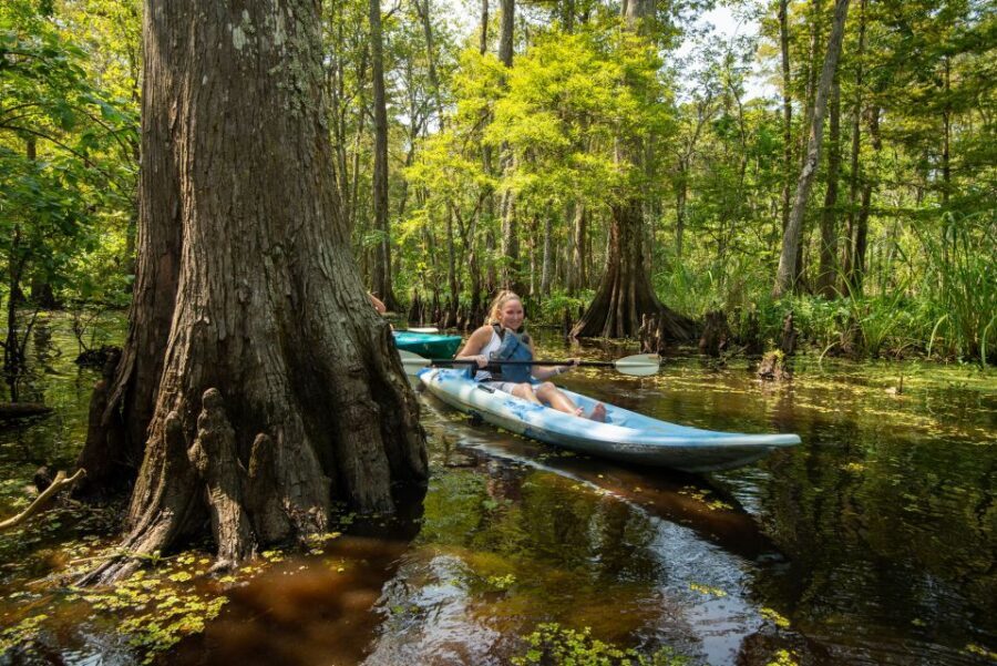 New Orleans: Manchac Magic Kayak Swamp Tour - Should You Book This Manchac Magic Kayak Swamp Tour?