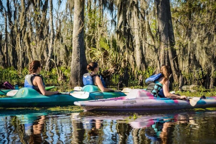 New Orleans: Manchac Magic Kayak Swamp Tour - FAQ