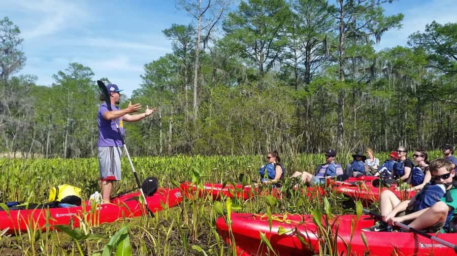 New Orleans: Manchac Swamp Wildlife Kayaking Tour - Key Things I’d Focus On