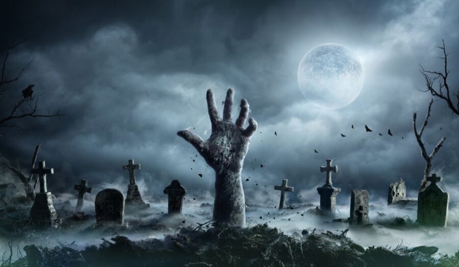 New Orleans: Night Cemetery and Ghost BYOB Bus Tour - Night Cemetery and Ghost Tour: The Real Feel of This Two-Hour Spook Ride