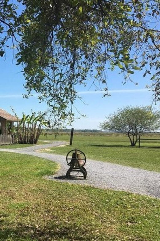 New Orleans: Oak Alley & Laura Plantation Tour w/Transport - Key highlights worth your attention