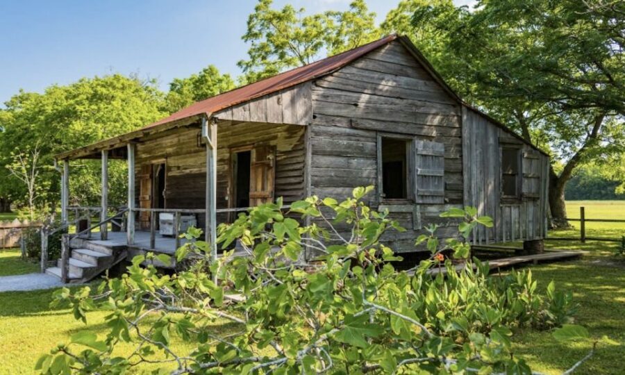 New Orleans: Oak Alley or Laura Plantation & Airboat Tour - Inside Oak Alley: what you’ll see, and what to watch for