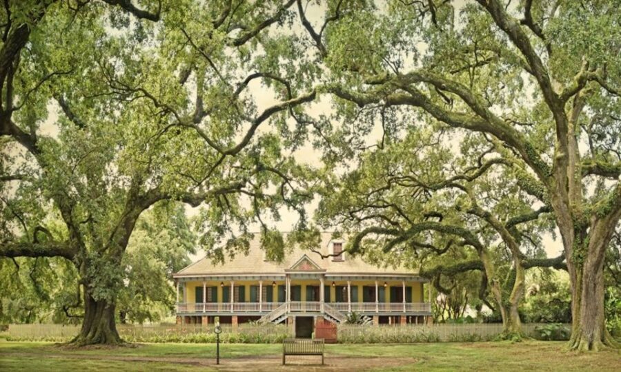 New Orleans: Oak Alley or Laura Plantation & Airboat Tour - What to bring: simple gear that makes a swamp day work