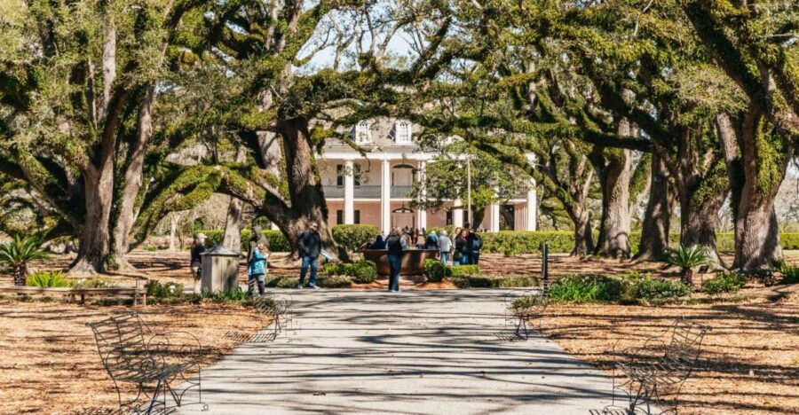 New Orleans: Oak Alley Plantation & Airboat Swamp Combo Tour - Key highlights worth knowing before you go