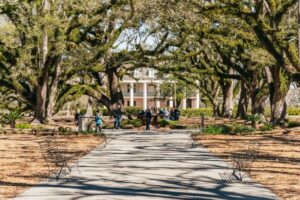New Orleans: Oak Alley Plantation & Airboat Swamp Combo Tour - Oak Alley Plantation: the Greek Revival house and the slavery context