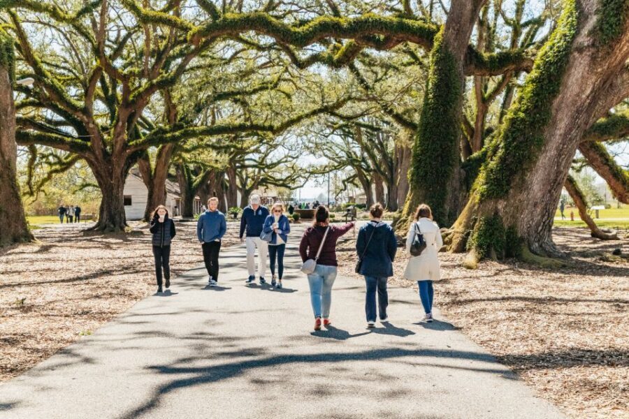 New Orleans: Oak Alley Plantation & Airboat Swamp Combo Tour - Comfort checklist: open-boat air, hearing protection, and weather reality