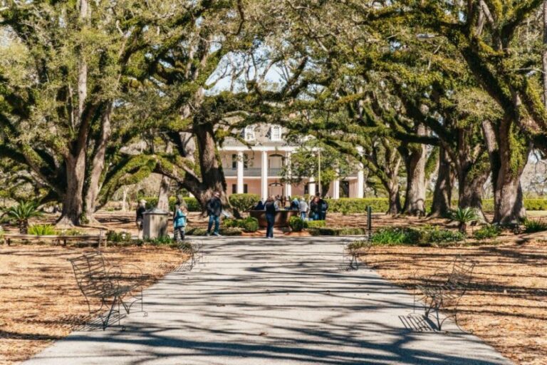 New Orleans: Oak Alley Plantation & Airboat Swamp Combo Tour - Oak Alley Plantation: the Greek Revival house and the slavery context
