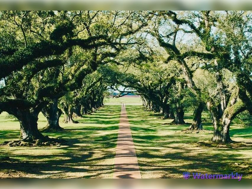 New Orleans: Oak Alley Plantation and Katrina City Tour - New Orleans by Minibus: Landmarks Plus a Katrina Lens
