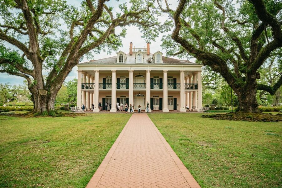 New Orleans: Oak Alley Plantation and Swamp Cruise Day Trip - From Pickup to Bayou: the Day’s Real Rhythm