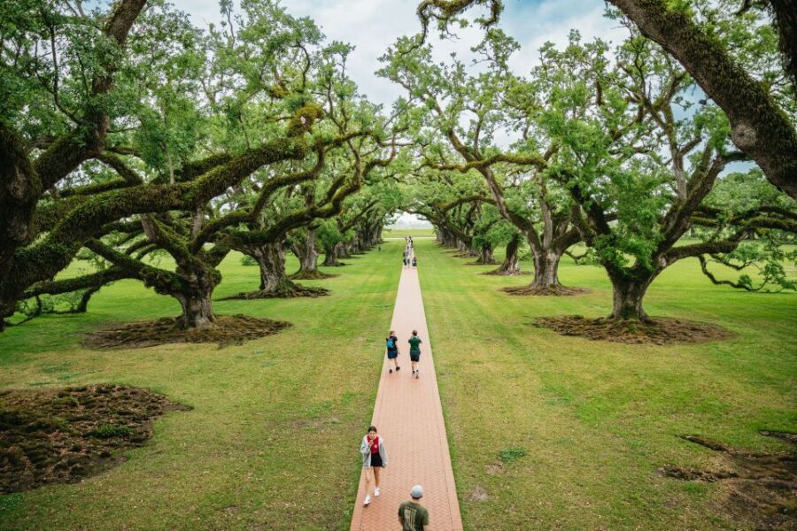 New Orleans: Oak Alley Plantation and Swamp Cruise Day Trip - Oak Alley Plantation: Pretty Oaks and Uncomfortable Truths